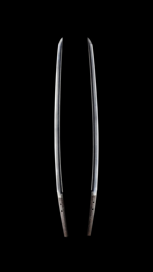 Antique Japanese Sword Katana Signed by Minamoto no Moritaka<br>NBTHK <span style="color: #ff0000;">Hozon </span>Certificate - Image 7
