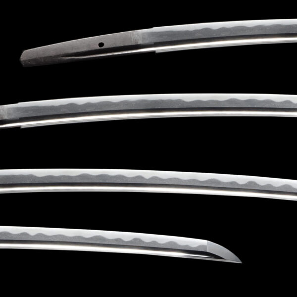 Antique Japanese Sword Wakizashi Attributed to Omiya <br>NBTHK <span style="color: #ff0000;"><strong> Tokubetsu Hozon</strong> </span>Certificate - Image 2
