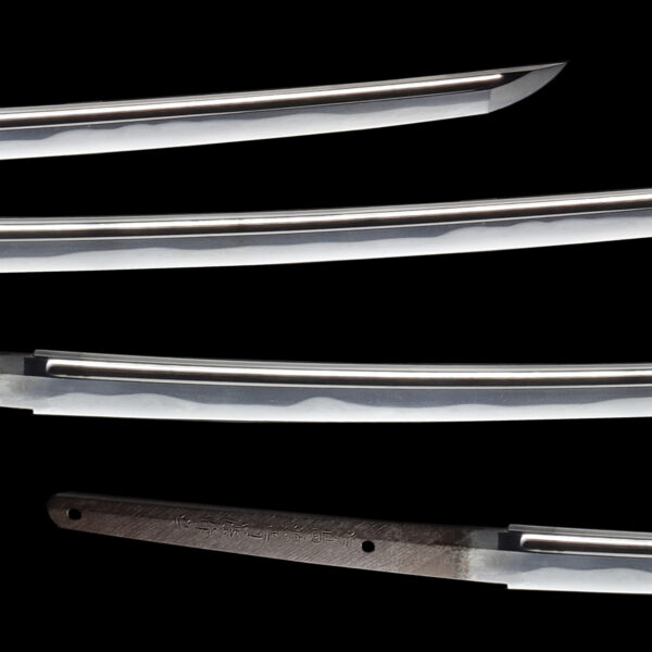 Antique Japanese Sword Katana Signed by Minamoto no Masakage <br>NBTHK<span style="color: #ff0000;"><strong> Tokubetsu Hozon</strong> </span>Certificate - Image 3