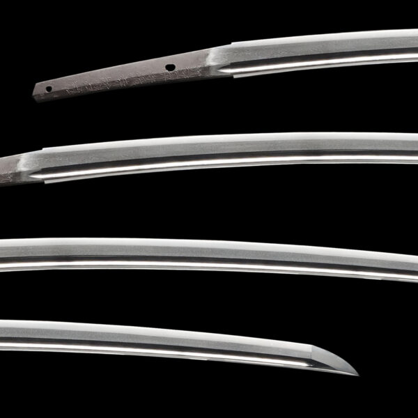 Antique Japanese Sword Katana Signed by Masahiro<br>NBTHK<span style="color: #ff0000;"><strong> Tokubetsu Hozon</strong> </span> Certificate for the blade and <span style="color: #ff0000;">Hozon</span> for the Koshirae - Image 2
