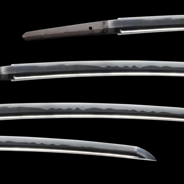 Antique Japanese Sword Wakizashi Signed by the third-gen Masatoshi<br>NBTHK <span style="color: #ff0000;"><strong>Tokubetsu Hozon</strong> </span>Certificate - Image 2