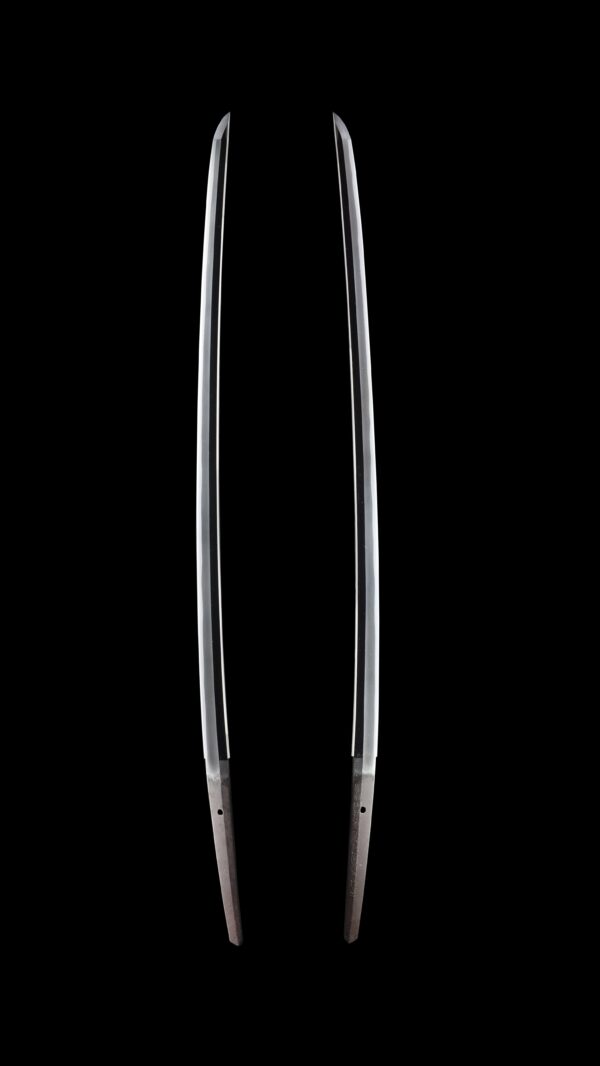 Antique Japanese Sword Katana Signed by Omi Daijo Fujiwara Tadahiro<br> NBTHK<span style="color: #ff0000;"><strong> Tokubetsu Hozon</strong> </span>Certificate - Image 7