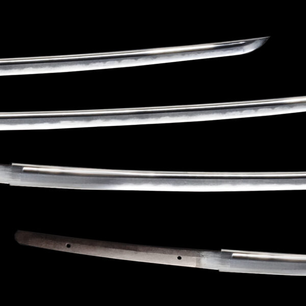 Antique Japanese Sword Katana Attributed to Takada Muneyuki<br>NBTHK Tokubetsu Kichou Certificate - Image 3