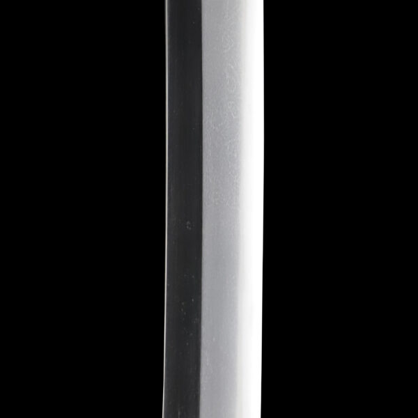 Antique Japanese Sword Katana Signed by Fujiwara no Morihira<br>NBTHK<span style="color: #ff0000;"><strong> Tokubetsu Hozon</strong> </span>Certificate - Image 10