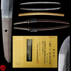 Antique Japanese Sword Wakizashi Signed by Mizuta Jyu Kunishige <br>NBTHK <span style="color: #ff0000;"><strong>Tokubetsu Hozon</strong> </span>Certificate